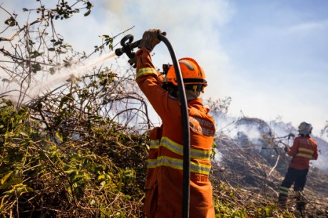 Corpo de Bombeiros combate três incêndios florestais em MT nesta quarta-feira (19)