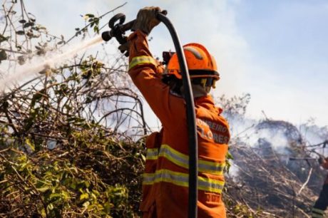 Período proibitivo do uso de fogo entra em vigor nesta semana