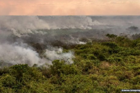 Pantanal poderá ter crise hídrica histórica em 2024, aponta estudo