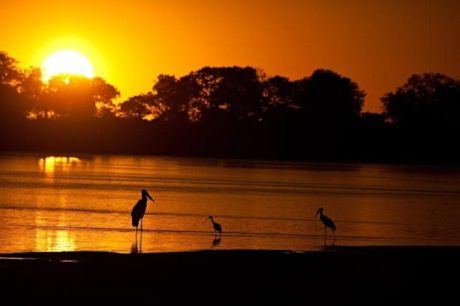 Ministério Público Federal investiga níveis de contaminação do rio Araguaia com agrotóxicos