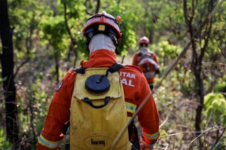 Corpo de Bombeiros extingue incêndios em Chapada dos Guimarães e Cuiabá neste domingo (07)