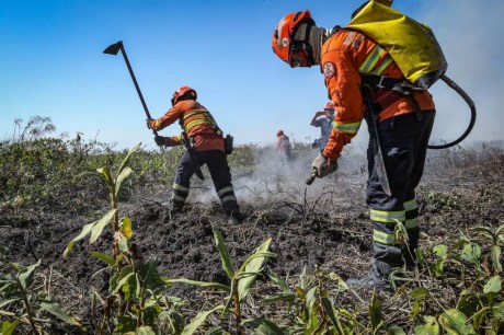 Corpo de Bombeiros extingue mais um incêndio florestal em Chapada dos Guimarães