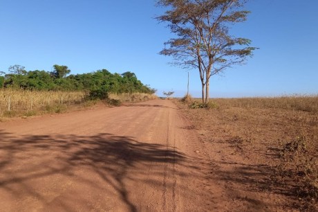 Recuperação de áreas degradadas é fundamental para às mudanças climáticas