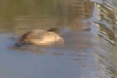 Corpo de estrangeiro é achado morto e boiando em rio em Mato Grosso