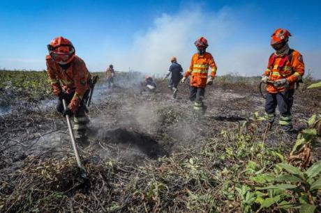 Bombeiros combatem dez incêndios florestais em Mato Grosso nesta quinta-feira (25)