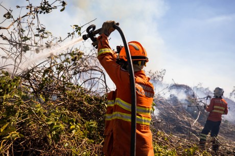 Corpo de Bombeiros extingue dois incêndios e combate outros 20 neste domingo (11)