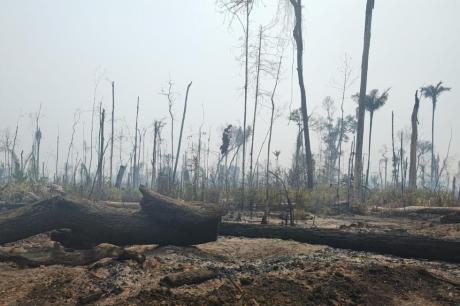 Operação conjunta combate crimes ambientais na Reserva de Guariba em Colniza