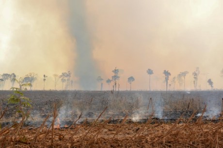 Parque do Cristalino fica coberto de fumaça por incêndio que queima há 15 dias em MT