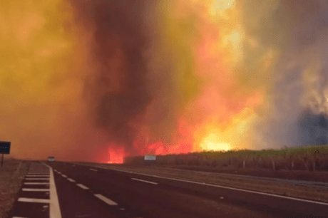 Ibama diz que incêndios são todos criminosos e aciona PF; Polícia de SP prende 2