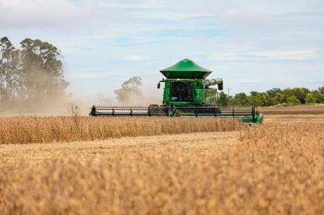 Seis cidades de MT integram top 10 do agro com renda bilionária