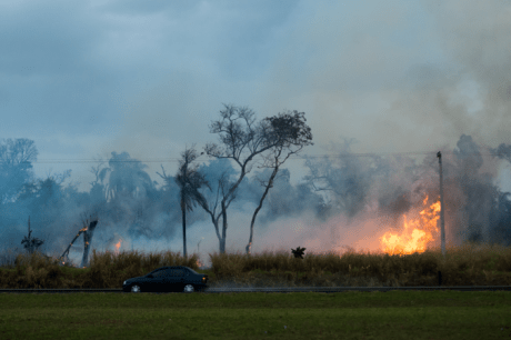 Governador de Mato Grosso e deputado pedem por penas mais duras em casos de incêndio