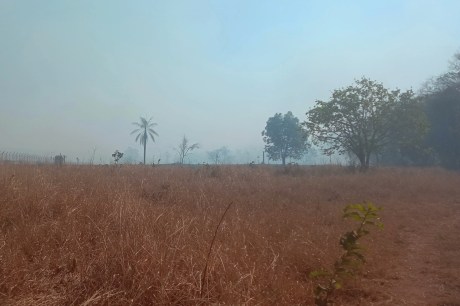 Corpo de Bombeiros de MT monitora focos em 49 fazendas, em 20 municípios