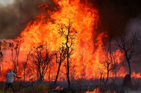 Incêndio de grandes proporções atinge Parque Nacional de Brasília