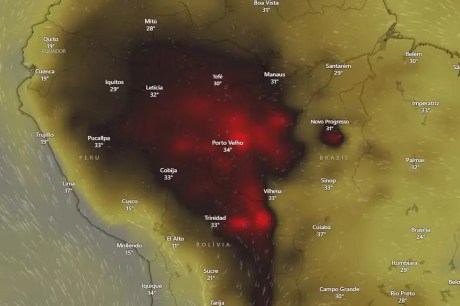 Mancha de fogo encobre mais de 500 km de extensão da Amazônia, apontam imagens de satélite