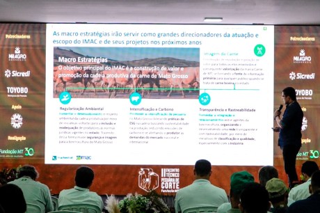 Pesquisa da Fundação MT mostra rentabilidade e sustentabilidade na produção bovina nos três biomas de Mato Grosso