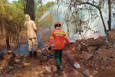 Corpo de Bombeiros combate 24 incêndios florestais em Mato Grosso nesta quarta-feira (02)