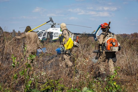 Corpo de Bombeiros combate 21 incêndios florestais no Estado nesta quinta-feira (10)