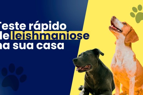 Teste rápido para leishmaniose canina pode ser agendado com a Vigilância Municipal de Zoonoses