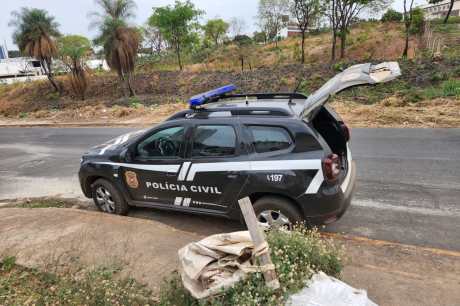 Idoso é preso após dois cães serem mortos enforcados por maus tratos 