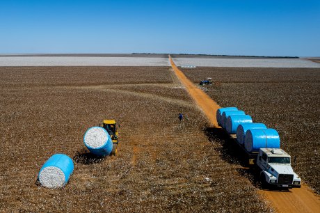 PIB de Mato Grosso registra a maior variação percentual do país e cresce mais de 1.230% em 20 anos