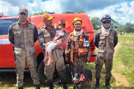 Menino indígena de 4 anos é localizado com ajuda de cães farejadores em Mato Grosso