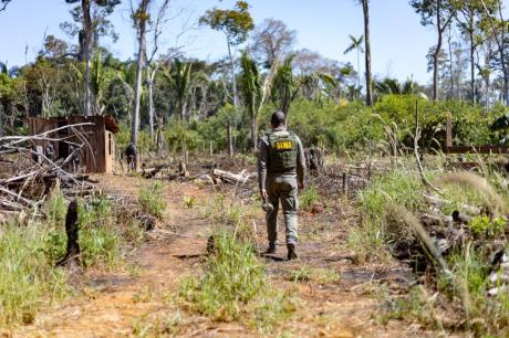 Sema deflagra 298 operações e aplica R$ 1,6 bilhão contra crimes ambientais em 2024