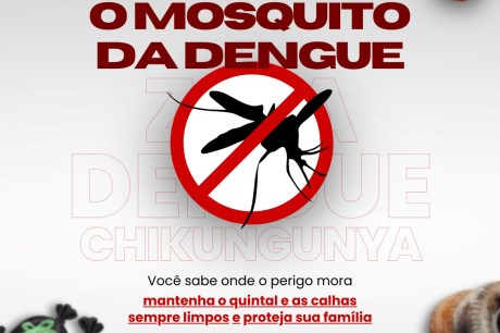 Prefeitura de Barra do Garças alerta para riscos de proliferação do Aedes Aegypti neste período chuvoso 