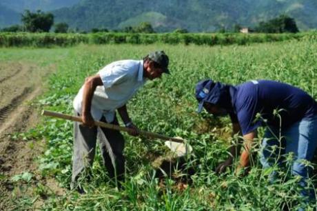 Agro apresenta perda de quase 30 mil vagas de trabalho em novembro