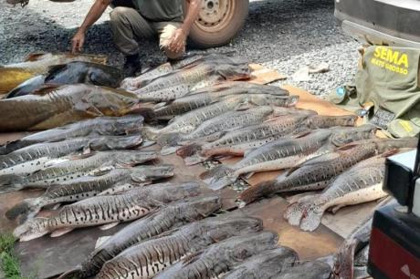 Mais de uma tonelada de pescado irregular apreendido foi doada pela SEMA em MT