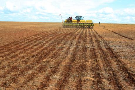 Indea prorroga prazo de cadastramento obrigatório de área cultivada de soja