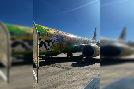 Avião da GOL colide com pássaro após decolar de Brasília