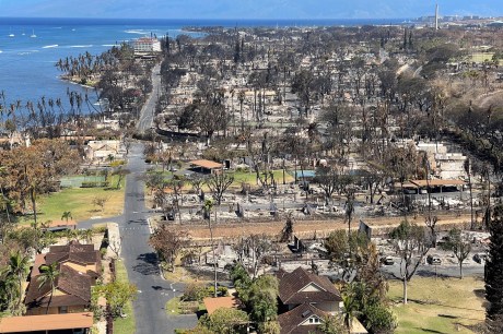 Nova Zelândia: Onda de Incêndios Criminosos Abala Igrejas